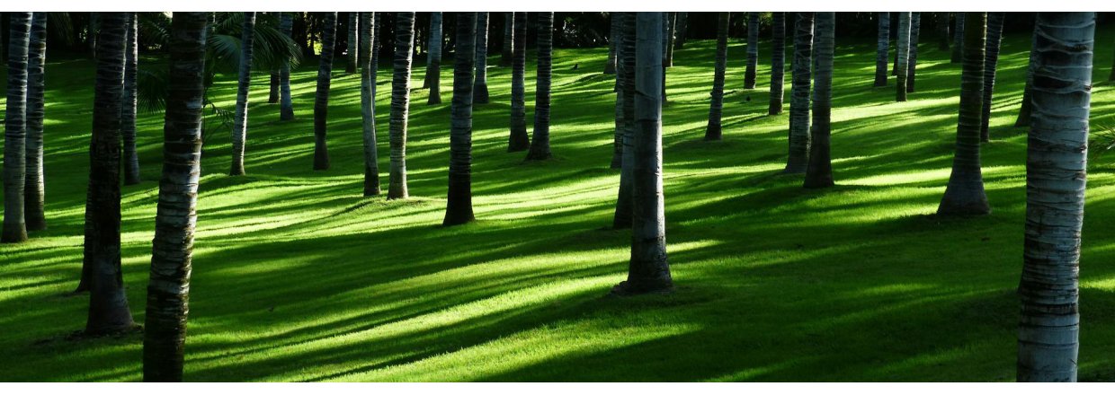 NSI ESG-rapport 2024