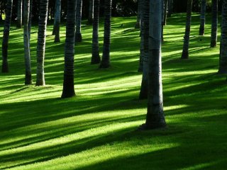 NSI ESG-rapport 2024